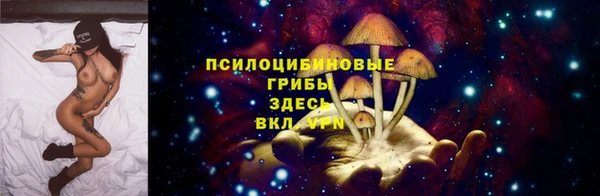 винт Магас
