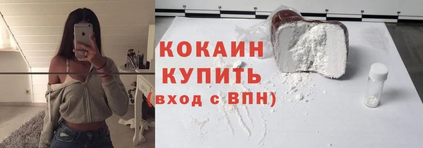 индика Новокубанск