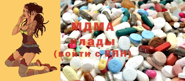 индика Каменка