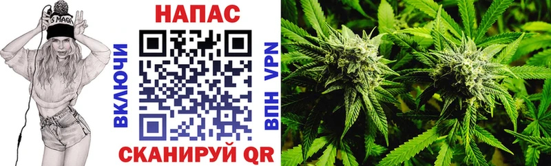 Конопля MAZAR  продажа наркотиков  Новоульяновск 